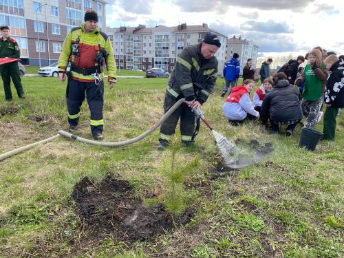 Более 100 чистопольцев приняли участие в акции «Сад памяти»