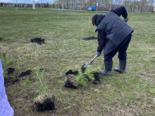Более 100 чистопольцев приняли участие в акции «Сад памяти»