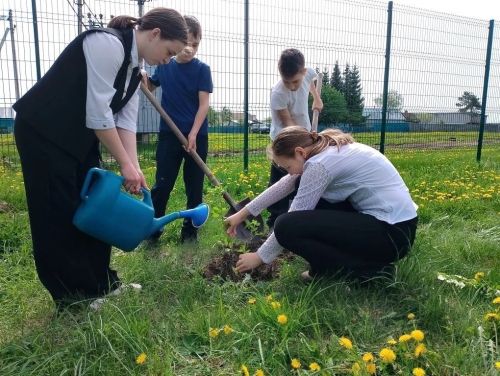 Школьные лесничества Чистопольского района присоединились к акции «Сад – Связь поколений»