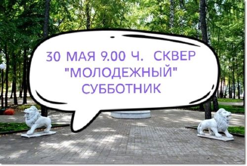 Чистопольцев приглашают на субботник в сквер «Молодежный»