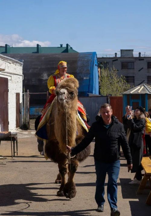 В Чистополе открылась «Купеческая усадьба»: верблюд, свечи и печь с блинами