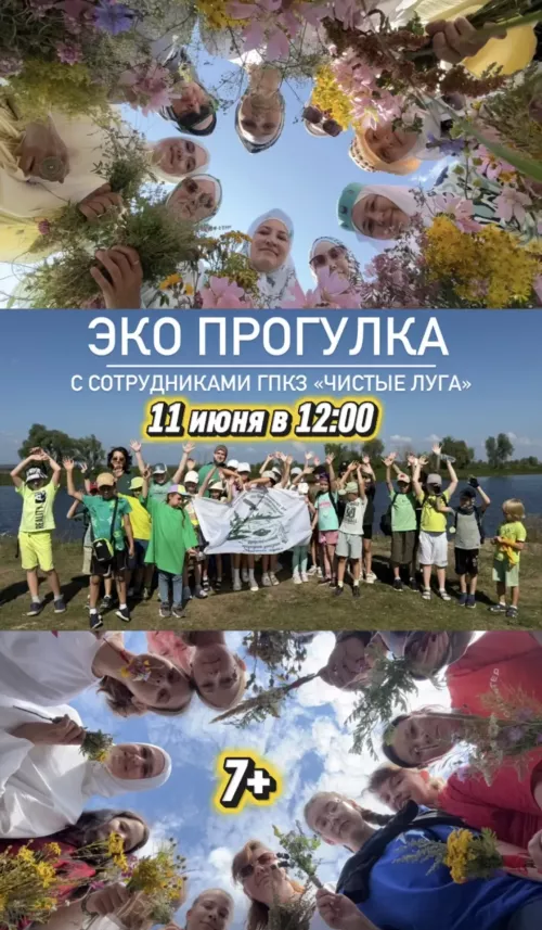 Юных натуралистов приглашают на эко-прогулку по «Чистым лугам»