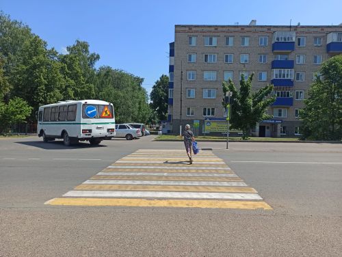 Начальник отдела Госавтоинспекции по Чистопольскому району напомнил о главных правилах безопасности детей на дорогах