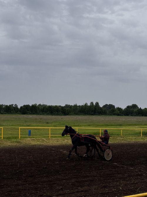 В Чистополе прошли конные скачки в честь Сабантуя