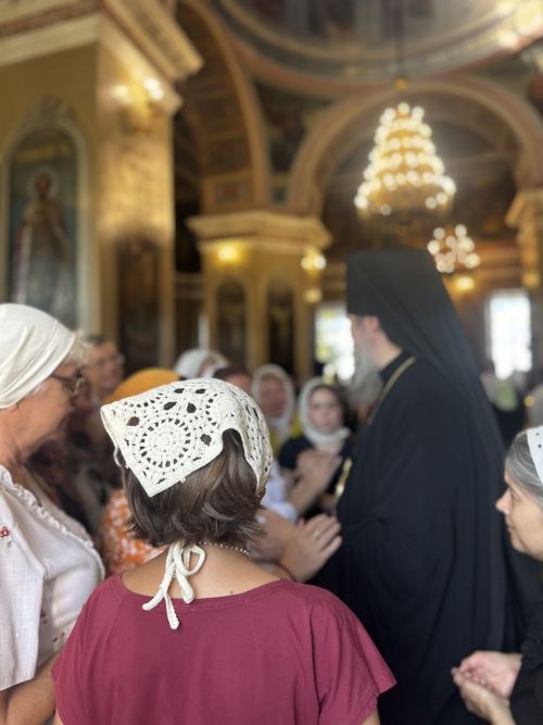 В Чистополе встретили нового архипастыря