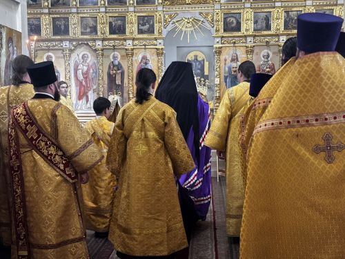 В Чистополе встретили нового архипастыря