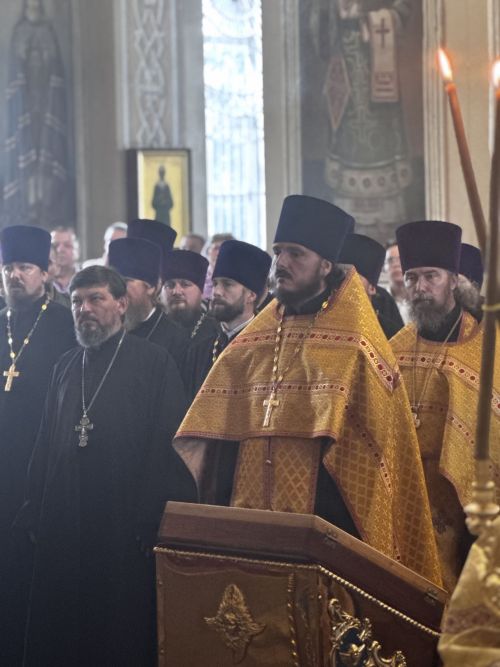 В Чистополе встретили нового архипастыря