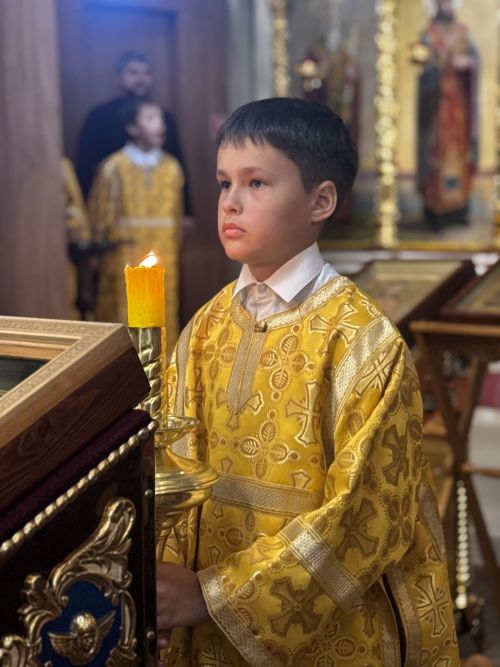 В Чистополе встретили нового архипастыря