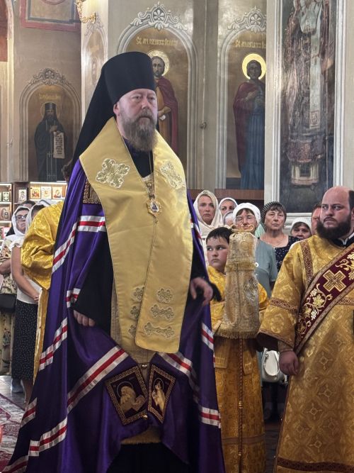 В Чистополе встретили нового архипастыря