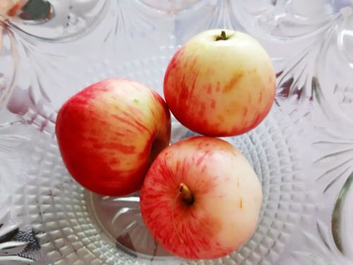 Яблоки - природный фильтр для организма