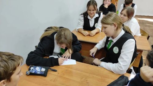 В Чистопольско-Высельской школе прошёл урок осознанного выбора