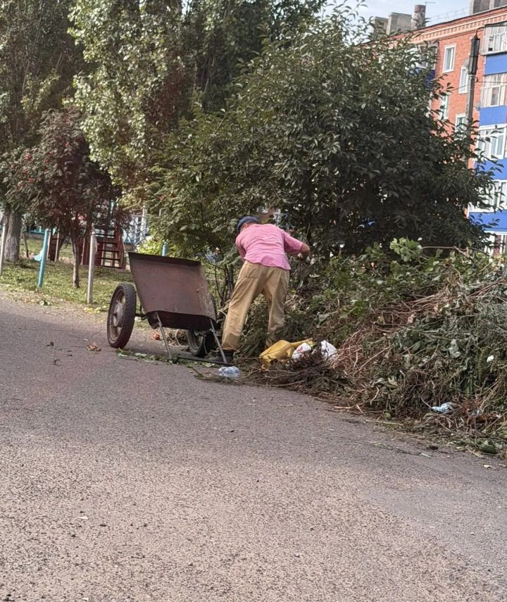 Чистопольцев призывают не выбрасывать ботву и растительный мусор на контейнерные площадки