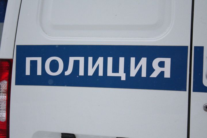 В Ульяновске водитель насмерть сбил шестилетнюю девочку