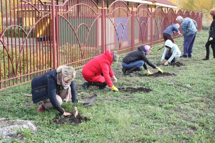 Коллектив чистопольского детского сада активно участвует в благоустройстве города