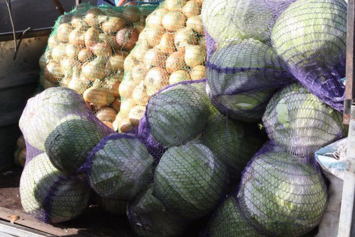 В Татарстане изъято более 3,6 тонны некачественных овощей и фруктов