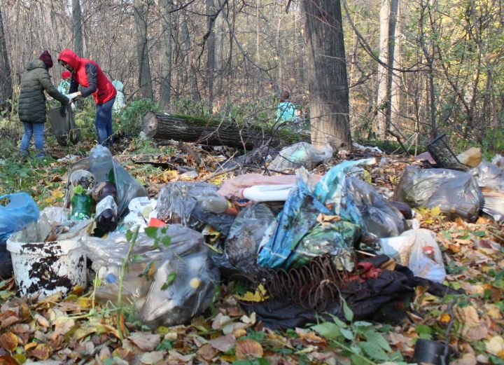 Чистопольская прокуратура обязала местные власти очистить город от мусора