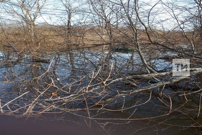 В Татарстане в реке Иж нашли утонувшего рыбака