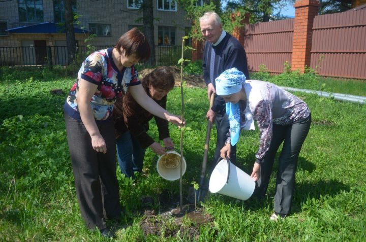 Работники культуры Чистопольского района заложили Рябиновую аллею 