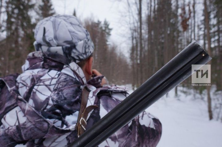 Утвердили нормы допустимой добычи для охотников в Татарстане