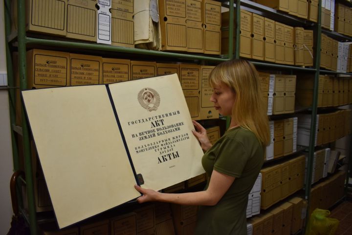 В Чистополе архивисты республики изучали &nbsp;ценные документы&nbsp;