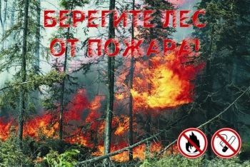 МЧС предупредило о высокой пожарной опасности лесов в районах Татарстана