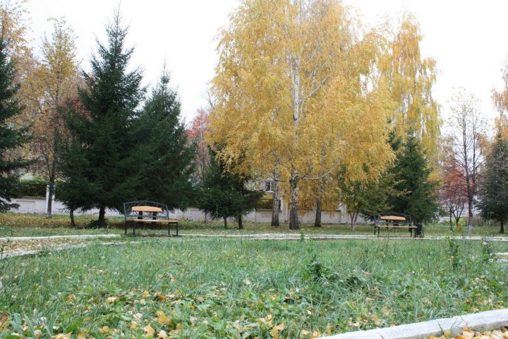 В начале октября Татарстан может ждать третья волна бабьего лета