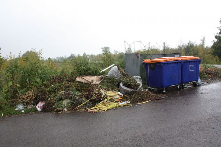Проблема с мусором: в администрацию Чистополя поступило 266 жалоб от горожан