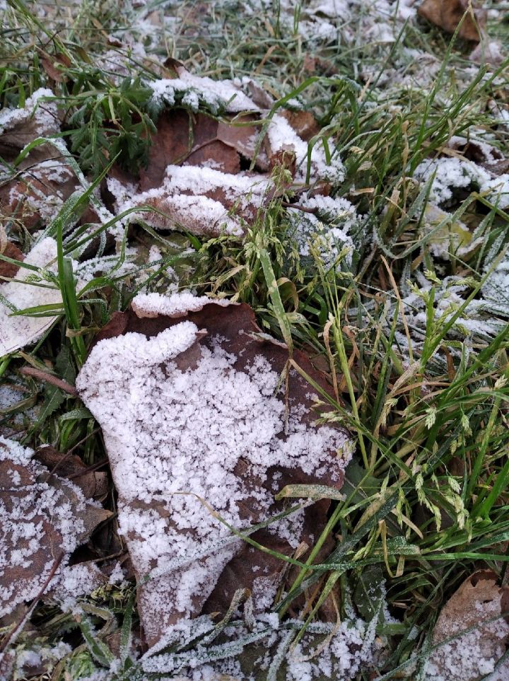 Погода в Чистополе на сегодня: будет ли снег