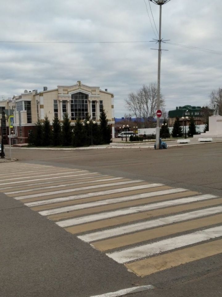 В Чистопольском районе проходит декадник «Пешеходный переход»