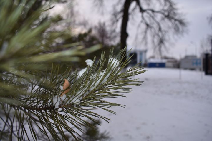 Чем примечателен сегодняшний день: народные приметы на 24 декабря