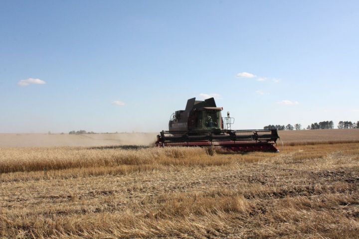 В Чистопольском районе идет подготовка техники к весенним полевым работам