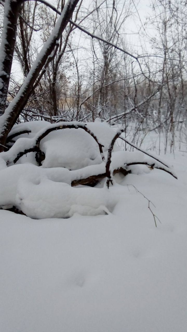 Под растаявшим снегом нашли тело пропавшего месяц назад мужчины