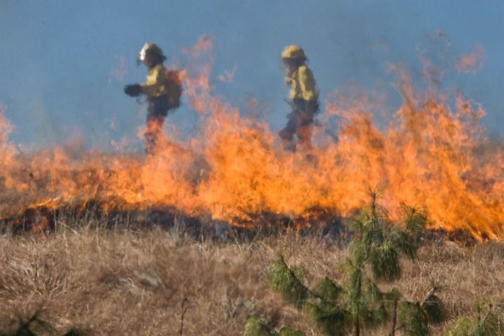 Весенние пожары возникают из-за пала травы