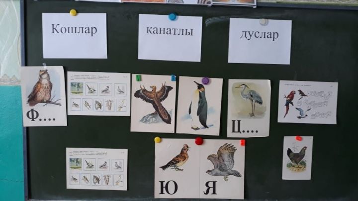 Все о птицах: игра-викторина в чистопольском селе