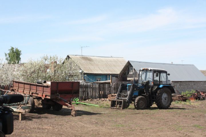 В Чистопольском районе аграрии будут пересевать большую часть озимого клина
