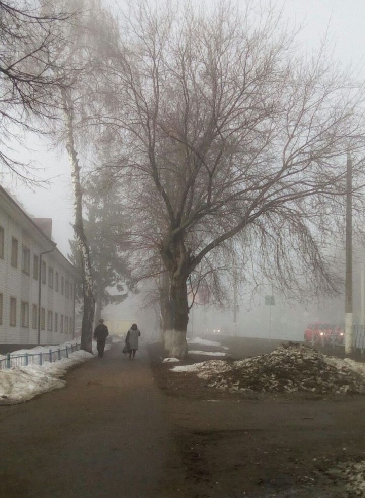 Завтра в Чистополе ожидается туман