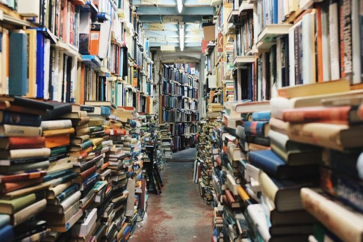 Книги по-прежнему востребованы: не зарастет читательская тропа в чистопольские библиотеки