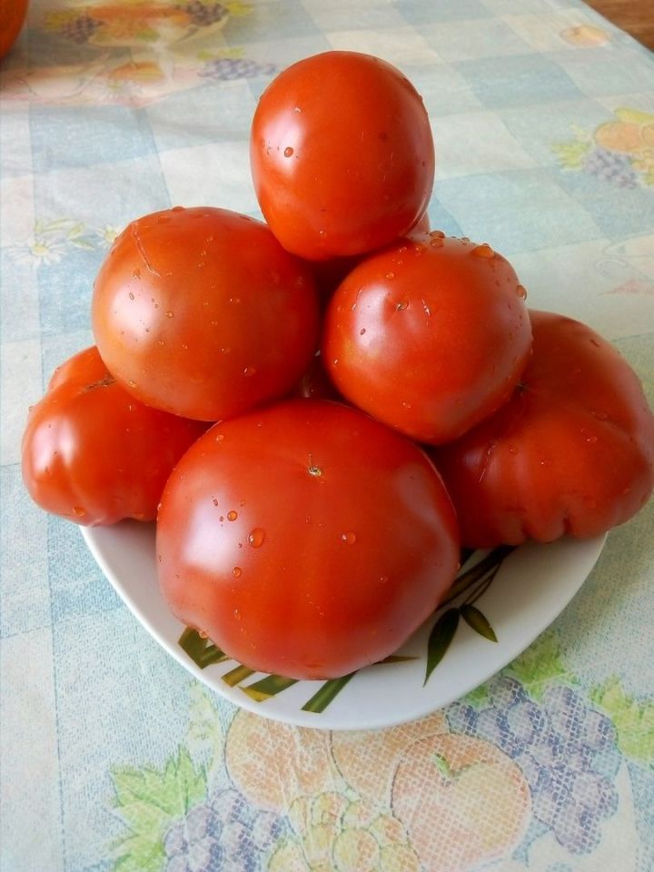 Мечта, а не томат! Натуральная подкормка томатов во время цветения для крупных, сахаристых и мясистых плодов