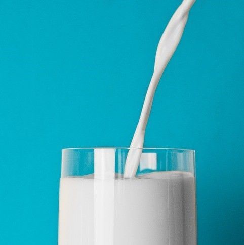 Специалист назвал суточную норму употребления молочных продуктов