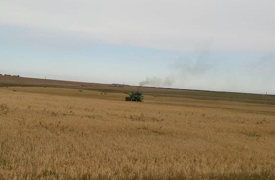 В Чистопольском районе завершена уборка зерновых