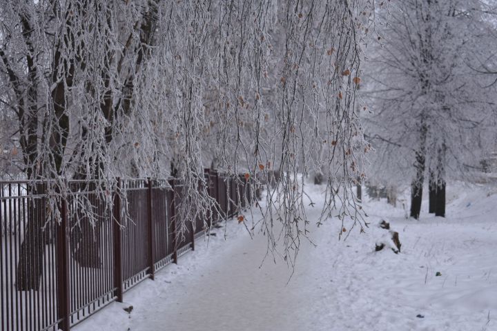 В Гидрометцентре рассказали, какой будет зима в Татарстане