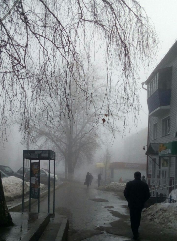 Туман, гололед, ледяной дождь и мокрый снег: штормовое предупреждение в Чистополе