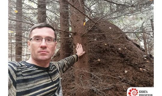 Журналист из Татарстана обнаружил самый большой муравейник в России