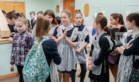 В Татарстане 38 классов отправили на дистанционное обучение