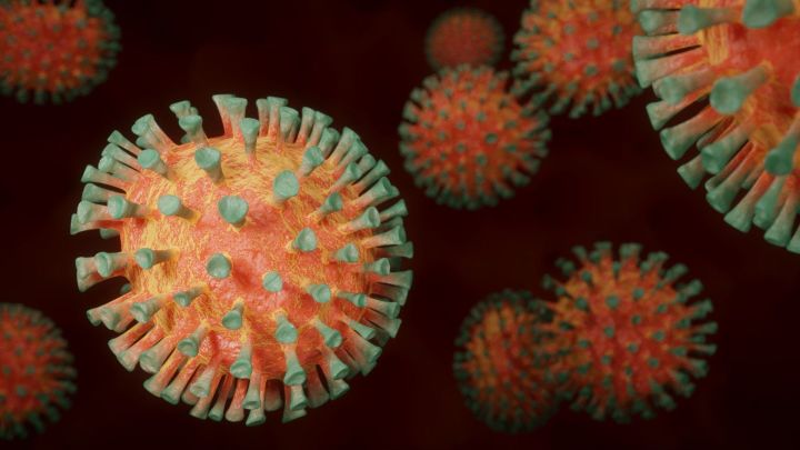 Среди новых случаев коронавируса есть завозной