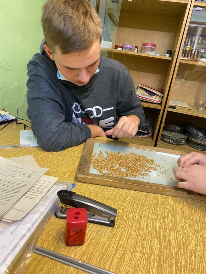 Студенты Чистопольского сельхозтехникума научились проводить анализ зерна и почвы