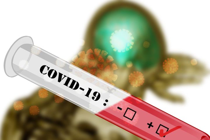 В России предложили возмещать гражданам затраты на тестирование на COVID-19
