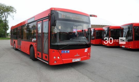С 2021  года в РТ планируют  арестовывать пассажирские автобусы за нарушения