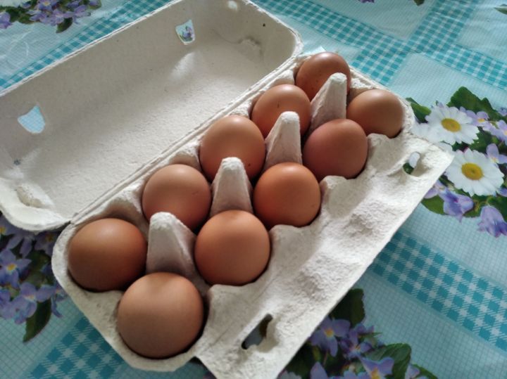 Как выбрать качественные яйца