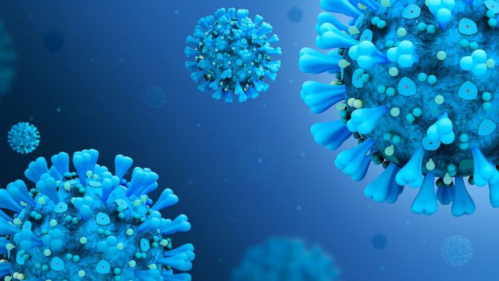 Как формируется иммунитет к коронавирусу